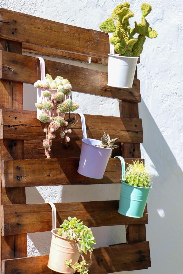 El Patio De Los Naranjos Guadalupe  Zewnętrze zdjęcie