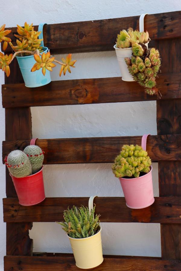 El Patio De Los Naranjos Guadalupe  Zewnętrze zdjęcie
